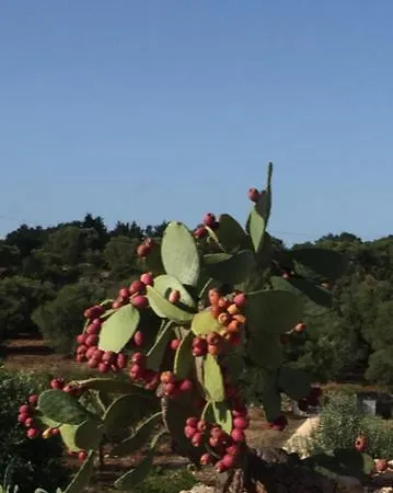 Trullo La La